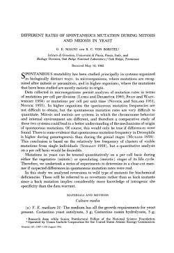 DIFFERENT RATES OF SPONTANEOUS MUTATION