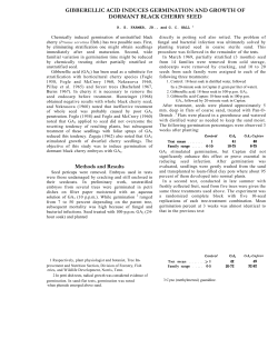 GIBBERELLIC ACID INDUCES GERMINATION AND