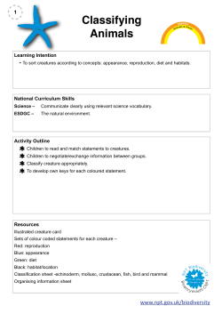 Seashore Lesson 1 - Classifying Animals