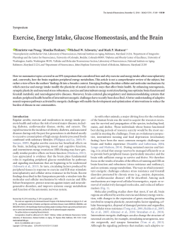 Exercise, Energy Intake, Glucose Homeostasis, and the Brain