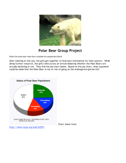 Polar Bear Group Project