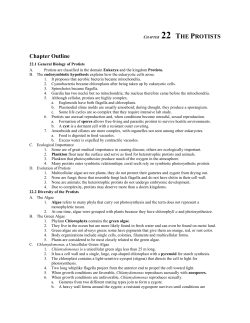 CHAPTER 30 THE PROTISTS