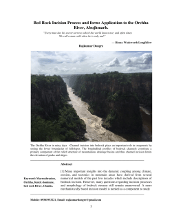 Bed Rock Incision Process and form: Application to the Orchha River