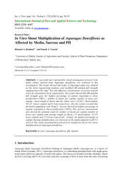 In Vitro Shoot Multiplication of Asparagus Densiflorus as Affected by