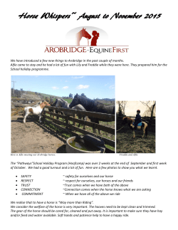 File - Arobridge Equine First