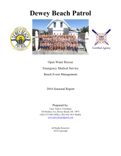 DBP Statistics - Dewey Beach Patrol