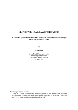 LEAFHOPPERS (Cicadellidae) OF THE PACIFIC