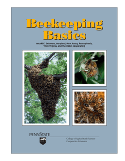 Beekeeping Basics - Denton County Extension office