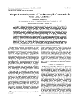 Nitrogen Fixation Dynamics of Two Diazotrophic Communities in