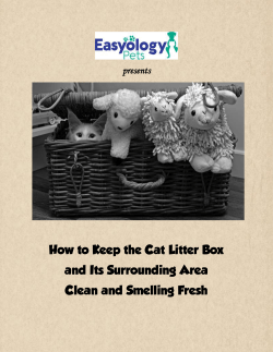 Cats and Litter Boxes