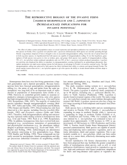 the reproductive biology of the invasive ferns lygodium microphyllum