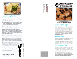 Egg Replacers and Substitutes