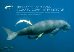 Dugong Initiative Brochure - Convention on the Conservation of