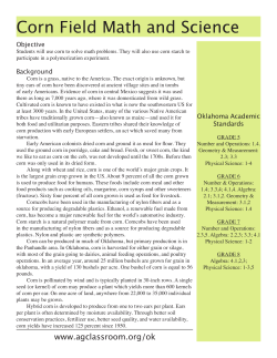 Corn Field Math and Science - 4