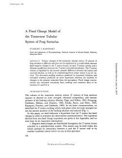 A Fixed Charge Model of the Transverse Tubular System of Frog