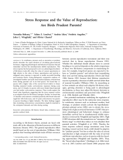 Stress Response and the Value of Reproduction: Are Birds Prudent