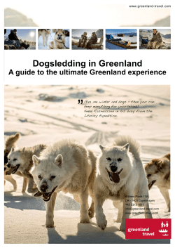 Dogsledding in Greenland
