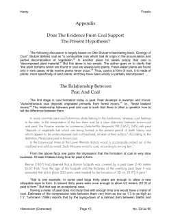 Appendix Does The Evidence From Coal Support The