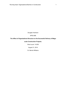 The Affect of Organizational Structure on the Successful Delivery of