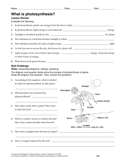 What is photosynthesis?