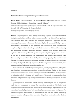 1 REVIEW Application of biotechnological tools to Quercus