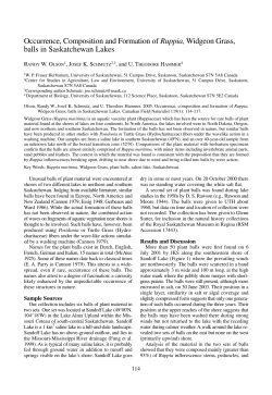 Occurrence, Composition and Formation of Ruppia, Widgeon Grass
