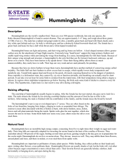 Hummingbirds - Johnson County Extension Office