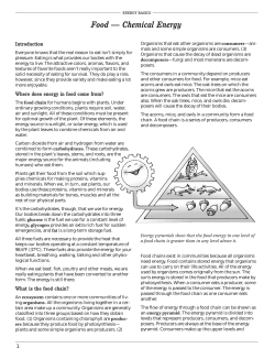 Chemical Energy - Lewiston School District