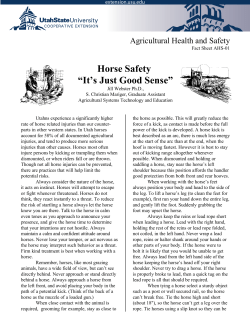 Horse Safety "It`s Just Good Sense" - DigitalCommons@USU