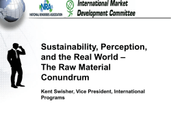 Sustainability, Perception, and the Real World