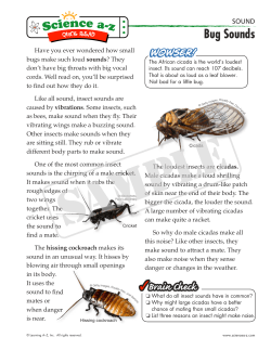 Bug Sounds