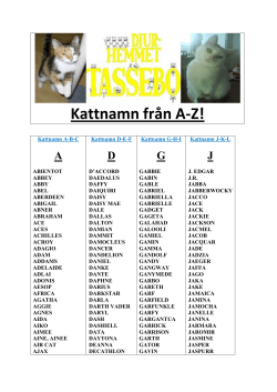 Kattnamn från AZ! - Djurhemmet Tassebo