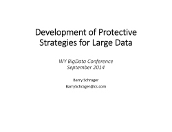 Development of Protective Strategies for Large Data by Barry Schrager