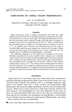 limitations on animal flight performance
