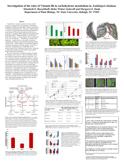 Investigation of the roles of Vitamin B6 in carbohydrate metabolism