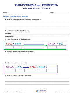 PHOTOSYNTHESIS and RESPIRATION