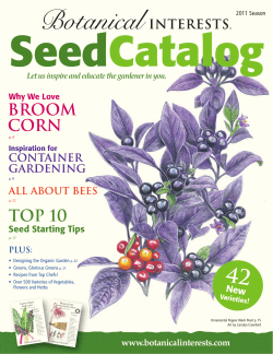 BROOM CORN TOP 10 - Botanical Interests