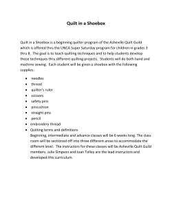 Quilt in a Shoebox - Asheville Quilt Guild