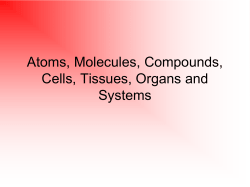 Cells, Tissues, Organs and Systems