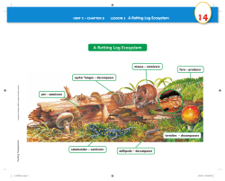 A Rotting Log Ecosystem