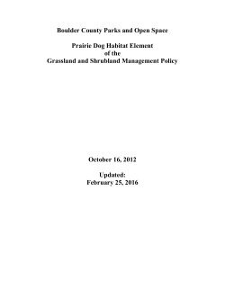 Prairie Dog Habitat Element of the Grassland and