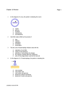 Chapter 18 Review - Blue Valley Schools