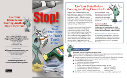 Use Your Brain Before Pouring Anything Down the Drain