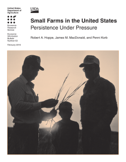 Small Farms in the United States: Persistence Under Pressure