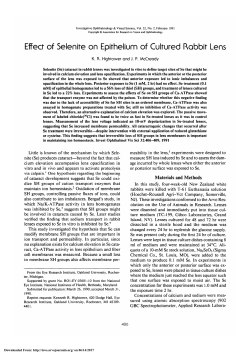 Effect of selenite on epithelium of cultured rabbit lens.