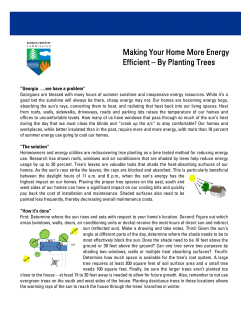 Making Your Home More Energy Efficient by Planting Trees