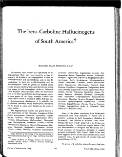 The beta-Carbonline Hallucinogens of South America