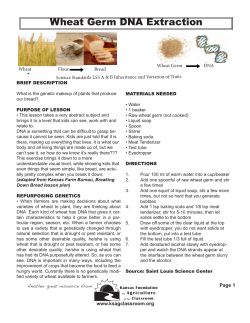 Wheat Germ DNA Extraction - Kansas Foundation for Agriculture in