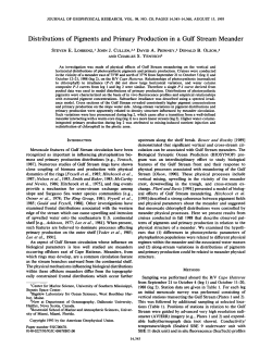 Distributions of Pigments and Primary Production in a Gulf