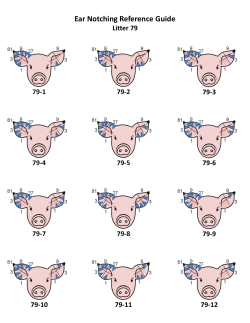 Litters 79-104 - Purdue Extension